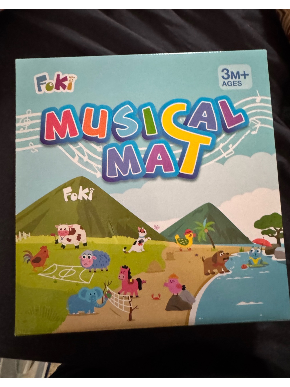 Musical Mat NEW